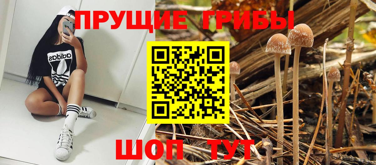 Галлюциногенные грибы Cubensis  Галлюциногенные грибы Psilocybe  Армавир  Вход с VPN 